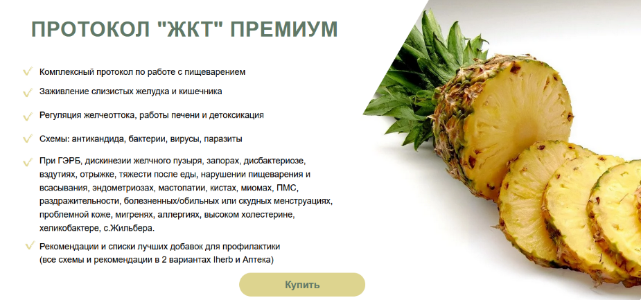 [Светлана Литвиненко] Протокол «ЖКТ» Премиум (2024_0.png